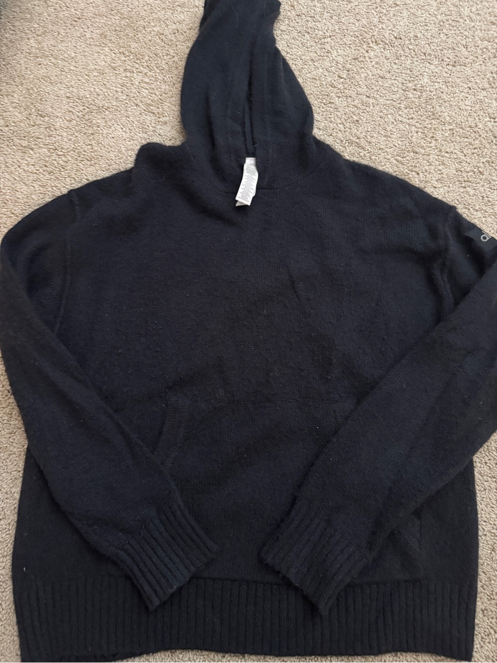 Alo Cashmer Hoodie
